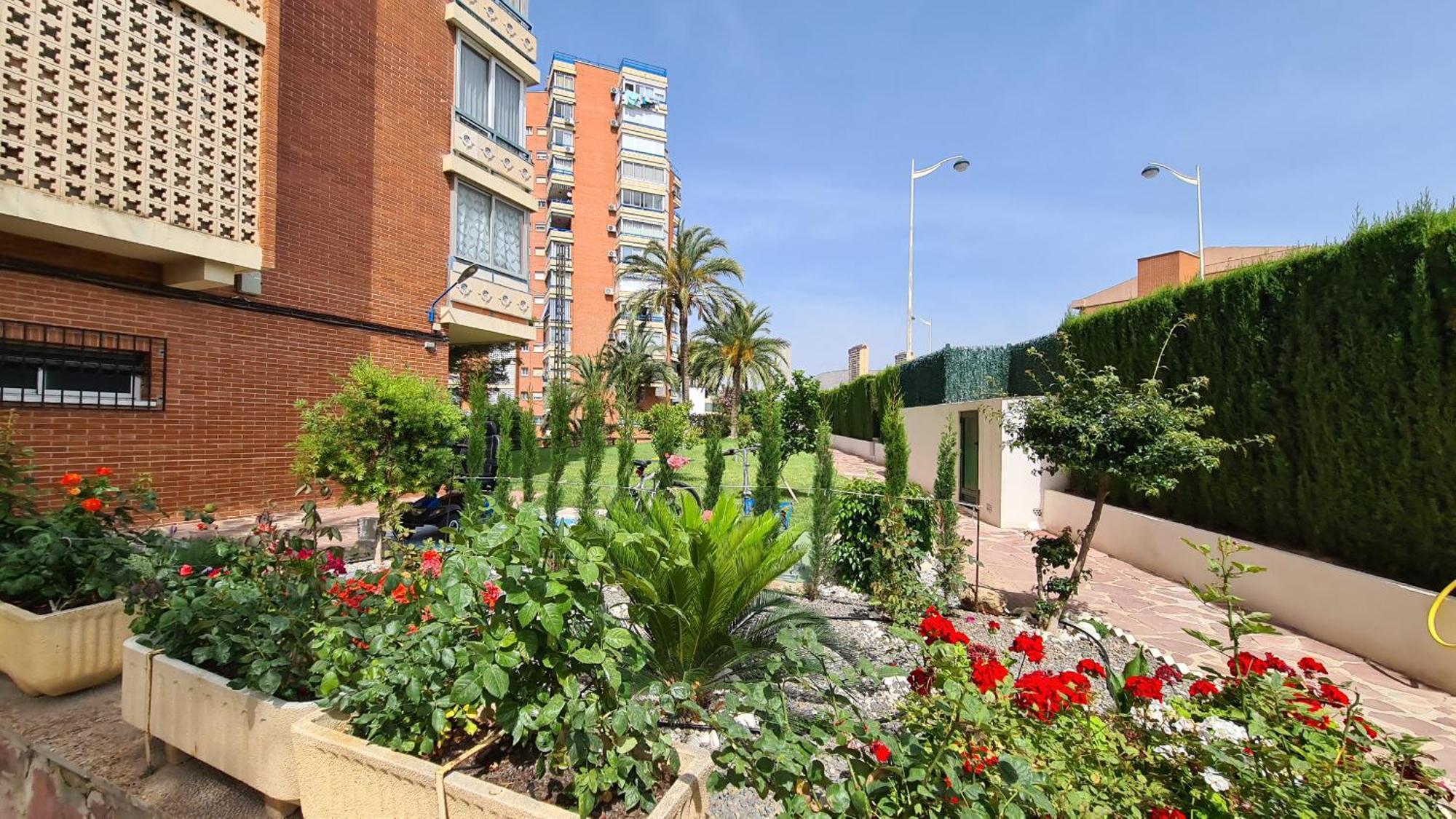 Apartamento San Sebastian If Benidorm Eksteriør bilde